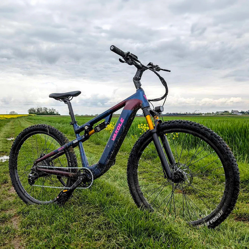 Vakole EMT29 250W 29" E-Mountain Bike 720Wh Cross-Country Full Suspension EMTB with Torque Sensor 48V 15Ah Battery