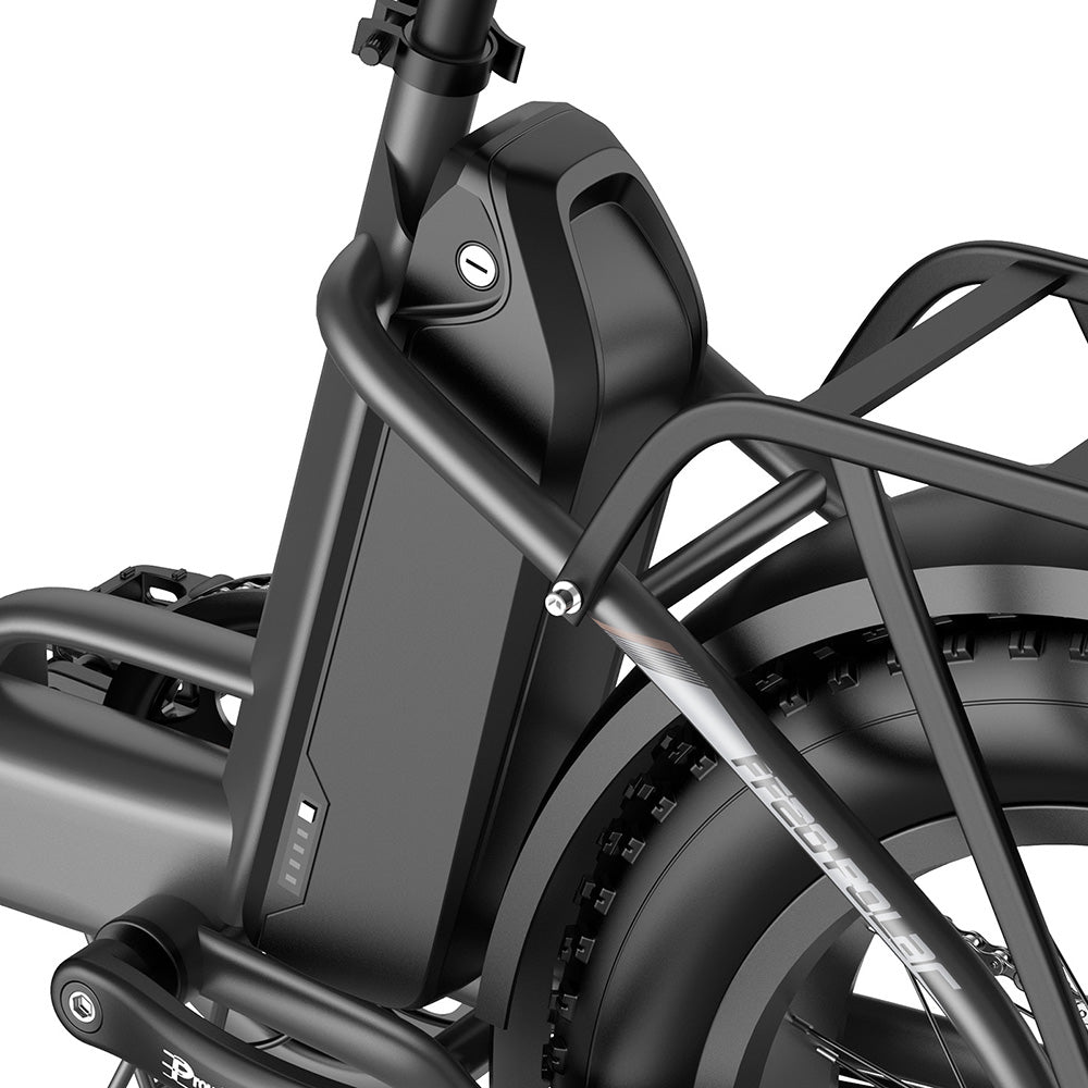 Fafrees FF20 Polar 20" Electric Fat Bike Dual Batteries L1e-B Certified Step-through E-bike