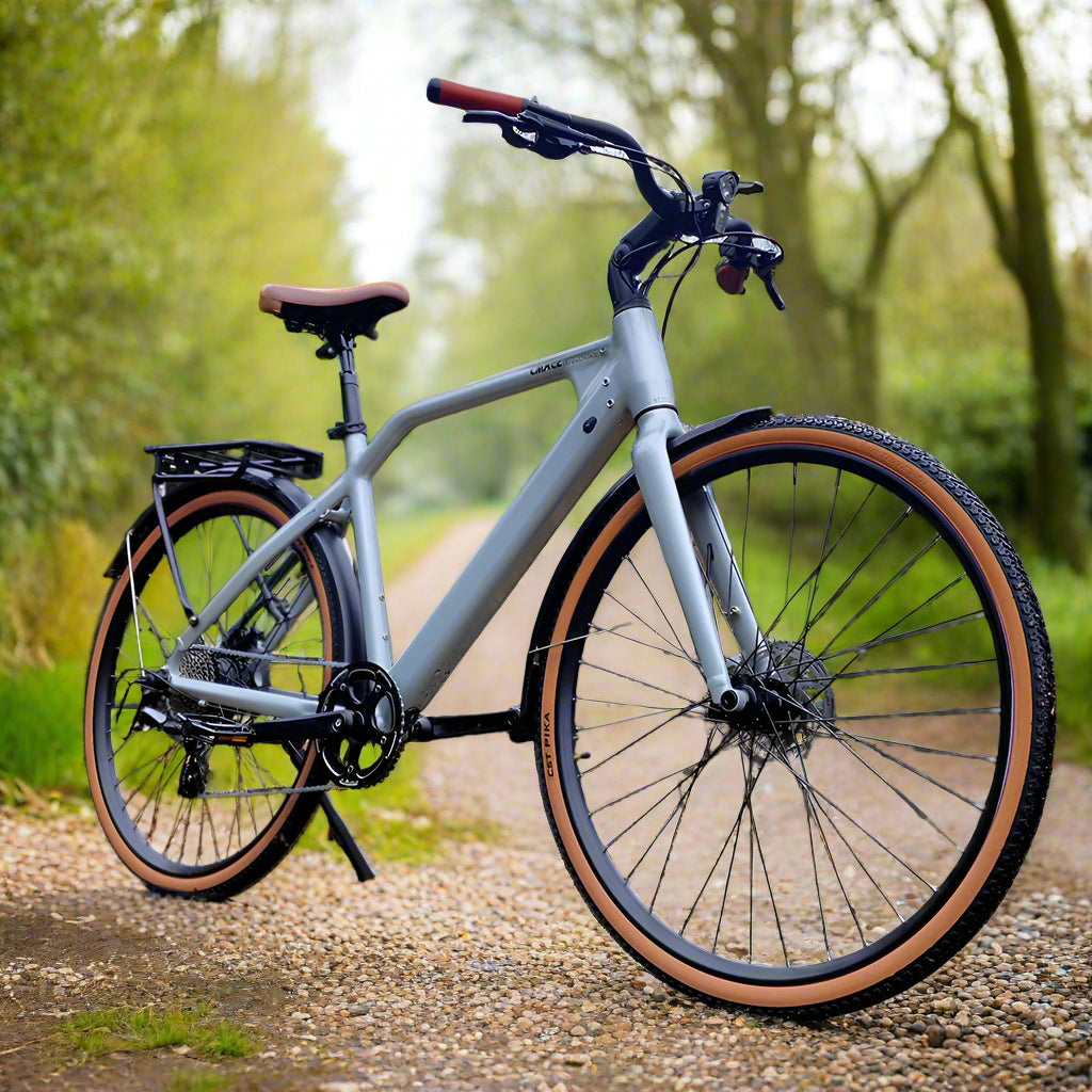 CMACEWHEEL F700 250W 700*38C Gravel Electric Bike 360Wh Lightweight City E-Bike 36V 10Ah Battery