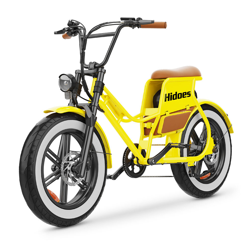Hidoes C8 750W 20" Fat Bike 816Wh Electric Bike 48V 17AH Battery