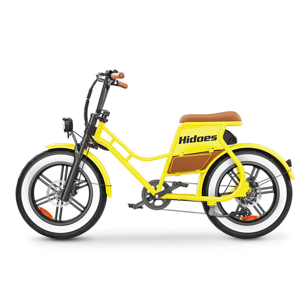 Hidoes C8 750W 20" Fat Bike 816Wh Electric Bike 48V 17AH Battery
