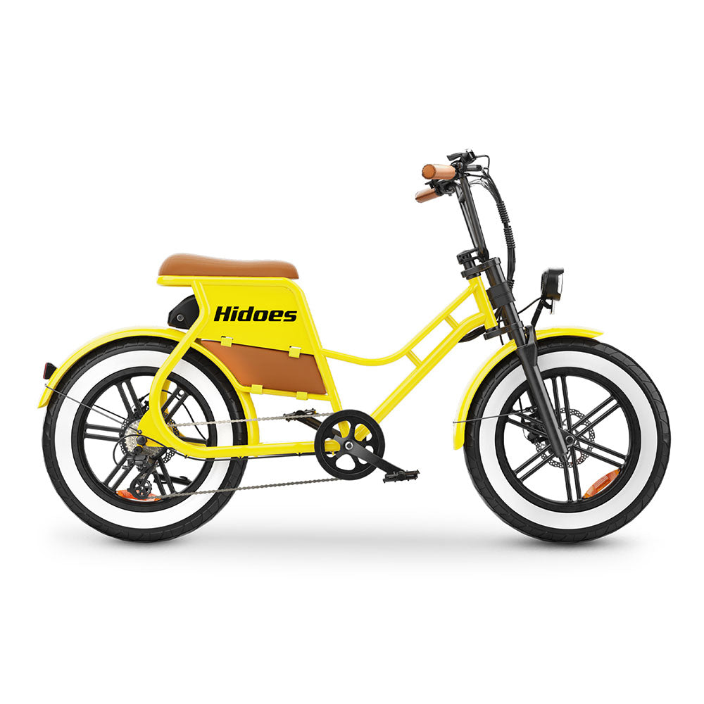 Hidoes C8 750W 20" Fat Bike 816Wh Electric Bike 48V 17AH Battery