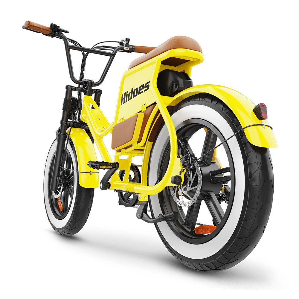 Hidoes C8 750W 20" Fat Bike 816Wh Electric Bike 48V 17AH Battery
