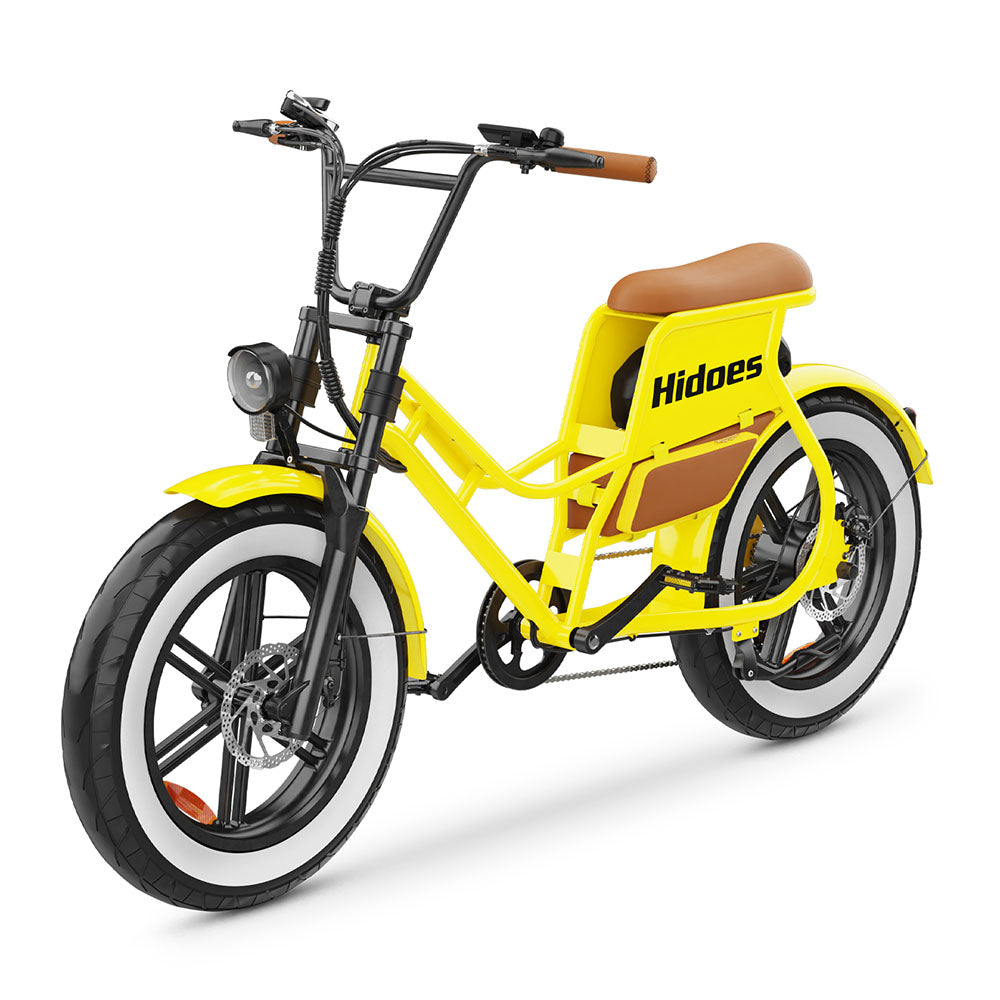 Hidoes C8 750W 20" Fat Bike 816Wh Electric Bike 48V 17AH Battery