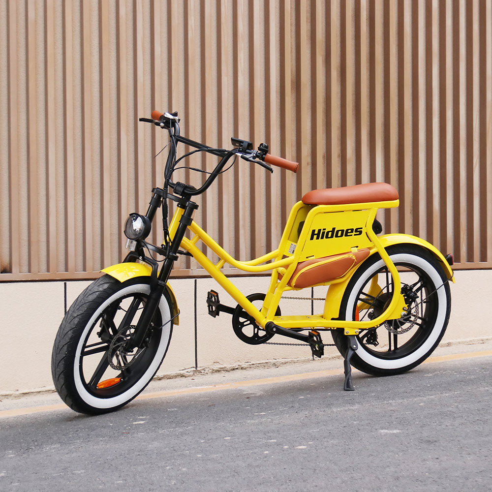 Hidoes C8 750W 20" Fat Bike 816Wh Electric Bike 48V 17AH Battery