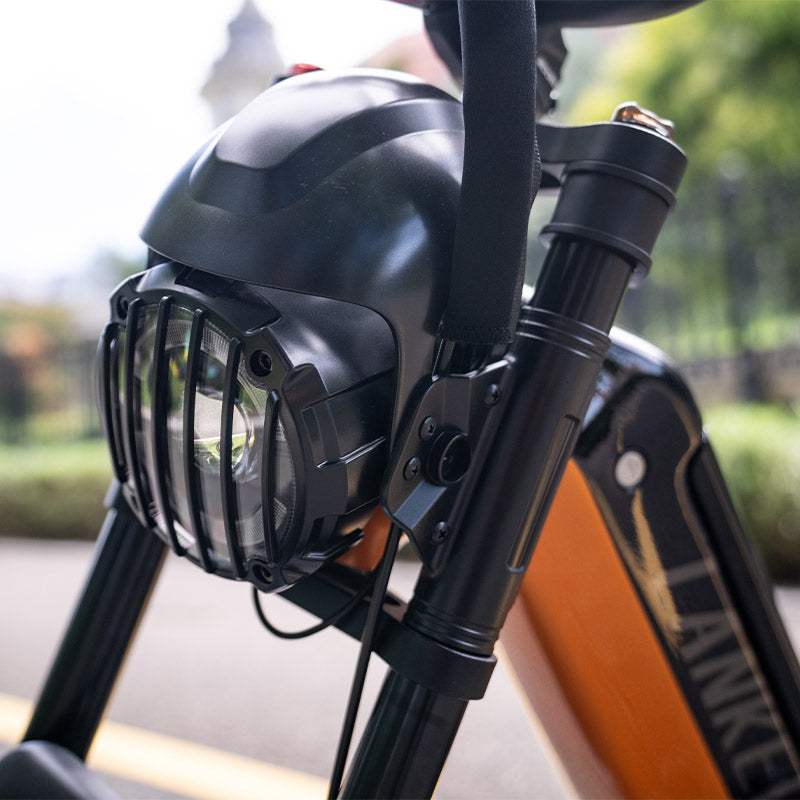 Lankeleisi RX800 Plus 2025 Version 1000W 20" Fat Bike 960Wh Full Suspension Electric Bike with Torque Sensor 48V 20Ah Battery SUV E-Bike