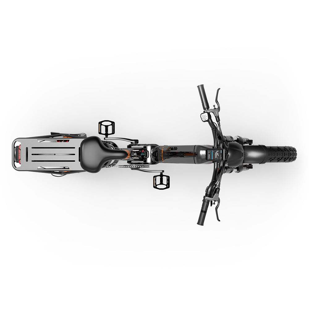 Lankeleisi RX800 Plus 2025 Version 1000W 20" Fat Bike 960Wh Full Suspension Electric Bike with Torque Sensor 48V 20Ah Battery SUV E-Bike