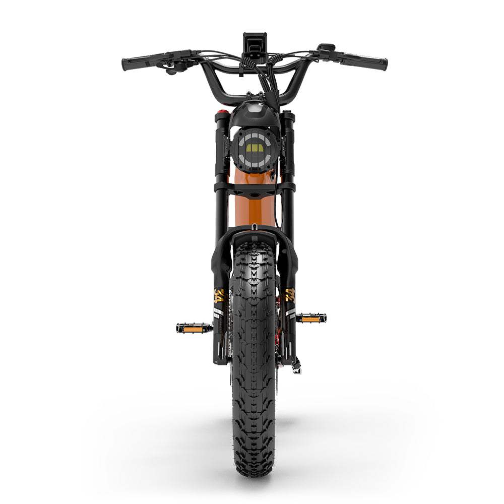 Lankeleisi RX800 Plus 2025 Version 1000W 20" Fat Bike 960Wh Full Suspension Electric Bike with Torque Sensor 48V 20Ah Battery SUV E-Bike