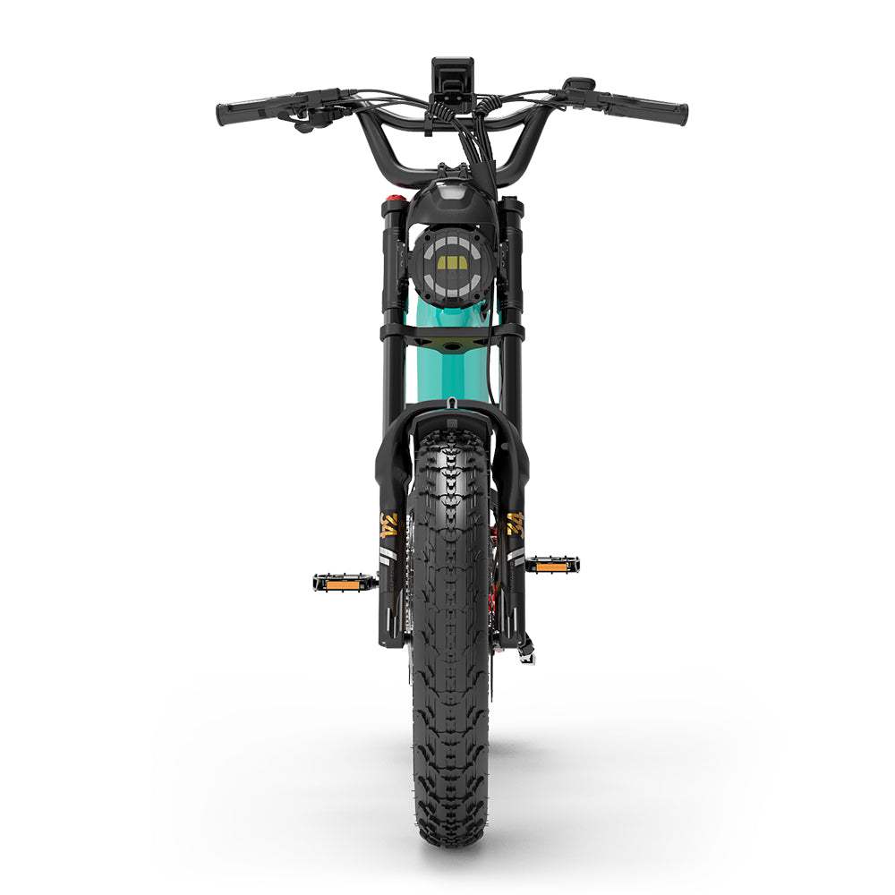 Lankeleisi RX800 Plus 2025 Version 1000W 20" Fat Bike 960Wh Full Suspension Electric Bike with Torque Sensor 48V 20Ah Battery SUV E-Bike