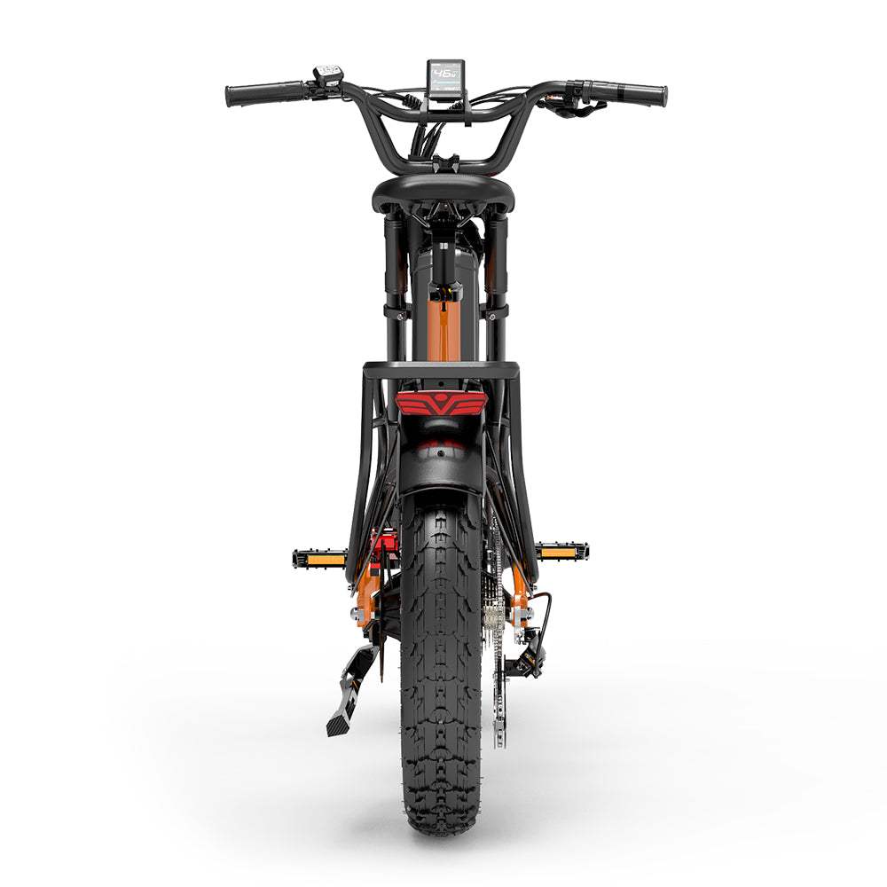 Lankeleisi RX800 Plus 2025 Version 1000W 20" Fat Bike 960Wh Full Suspension Electric Bike with Torque Sensor 48V 20Ah Battery SUV E-Bike