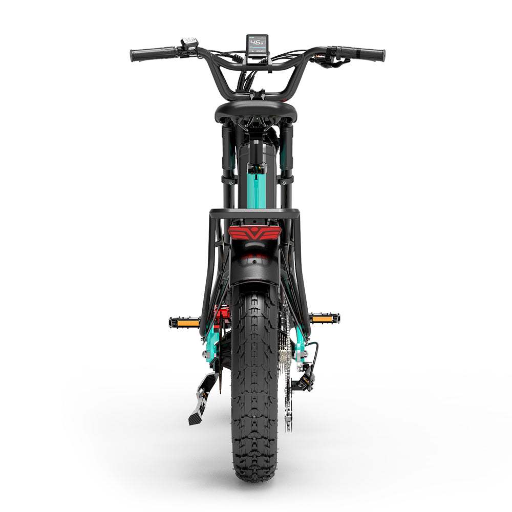 Lankeleisi RX800 Plus 2025 Version 1000W 20" Fat Bike 960Wh Full Suspension Electric Bike with Torque Sensor 48V 20Ah Battery SUV E-Bike