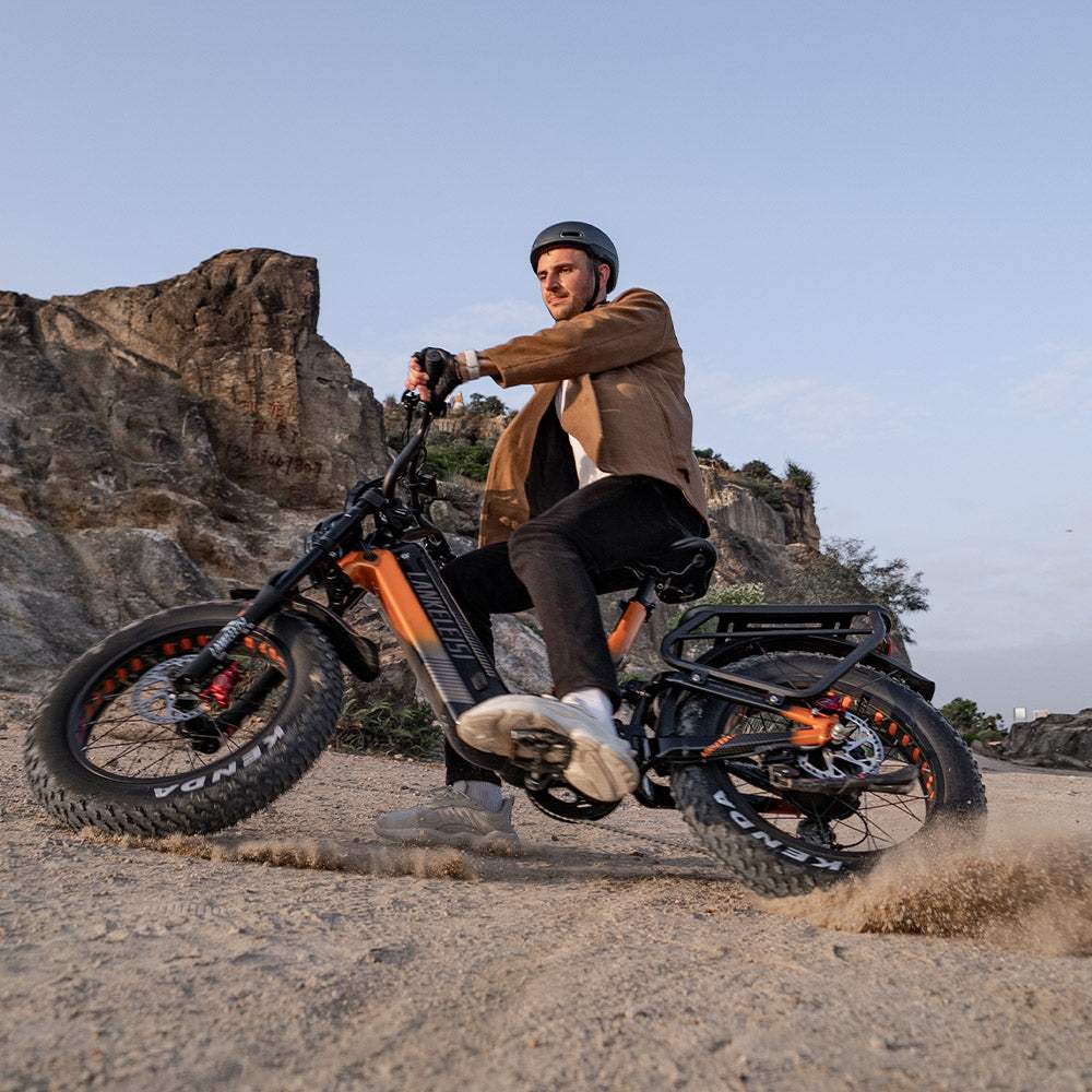 Lankeleisi RX800 Plus 2025 Version 1000W 20" Fat Bike 960Wh Full Suspension Electric Bike with Torque Sensor 48V 20Ah Battery SUV E-Bike
