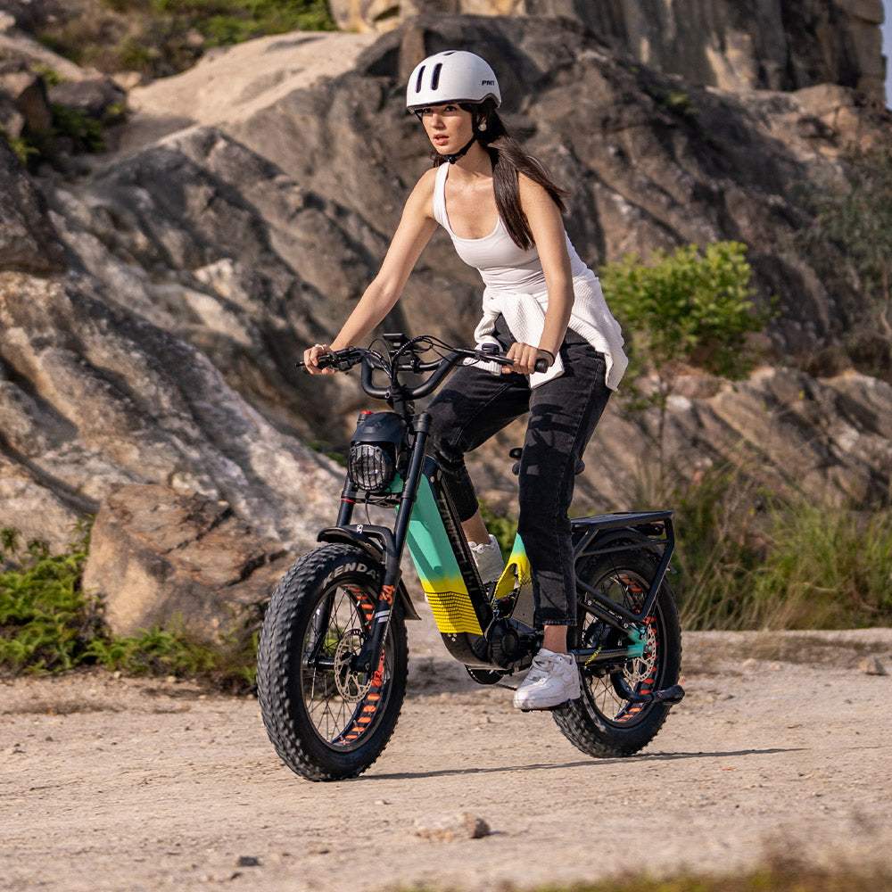 Lankeleisi RX800 Plus 2025 Version 1000W 20" Fat Bike 960Wh Full Suspension Electric Bike with Torque Sensor 48V 20Ah Battery SUV E-Bike