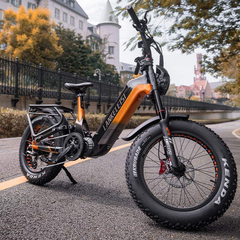 Lankeleisi RX800 Plus 2025 Version 1000W 20" Fat Bike 960Wh Full Suspension Electric Bike with Torque Sensor 48V 20Ah Battery SUV E-Bike
