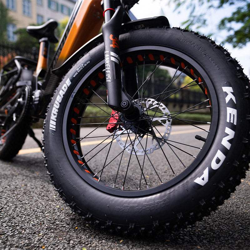 Lankeleisi RX800 Plus 2025 Version 1000W 20" Fat Bike 960Wh Full Suspension Electric Bike with Torque Sensor 48V 20Ah Battery SUV E-Bike