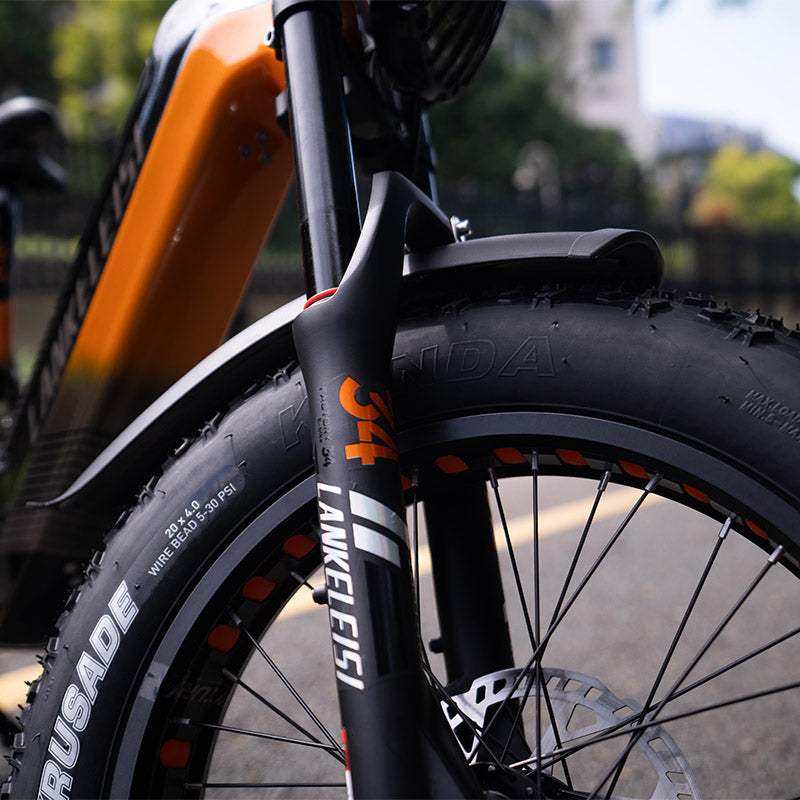 Lankeleisi RX800 Plus 2025 Version 1000W 20" Fat Bike 960Wh Full Suspension Electric Bike with Torque Sensor 48V 20Ah Battery SUV E-Bike