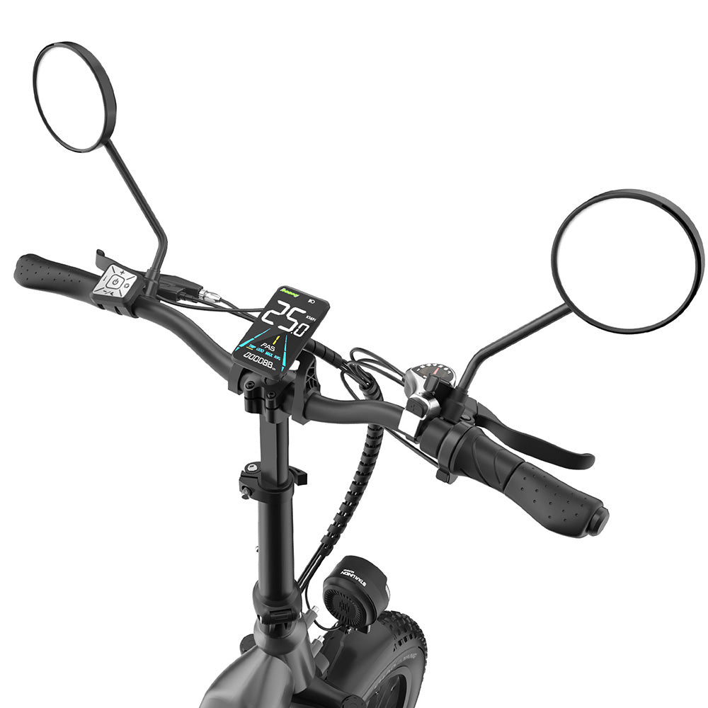 Fafrees FF20 Polar 20" Electric Fat Bike Dual Batteries L1e-B Certified Step-through E-bike