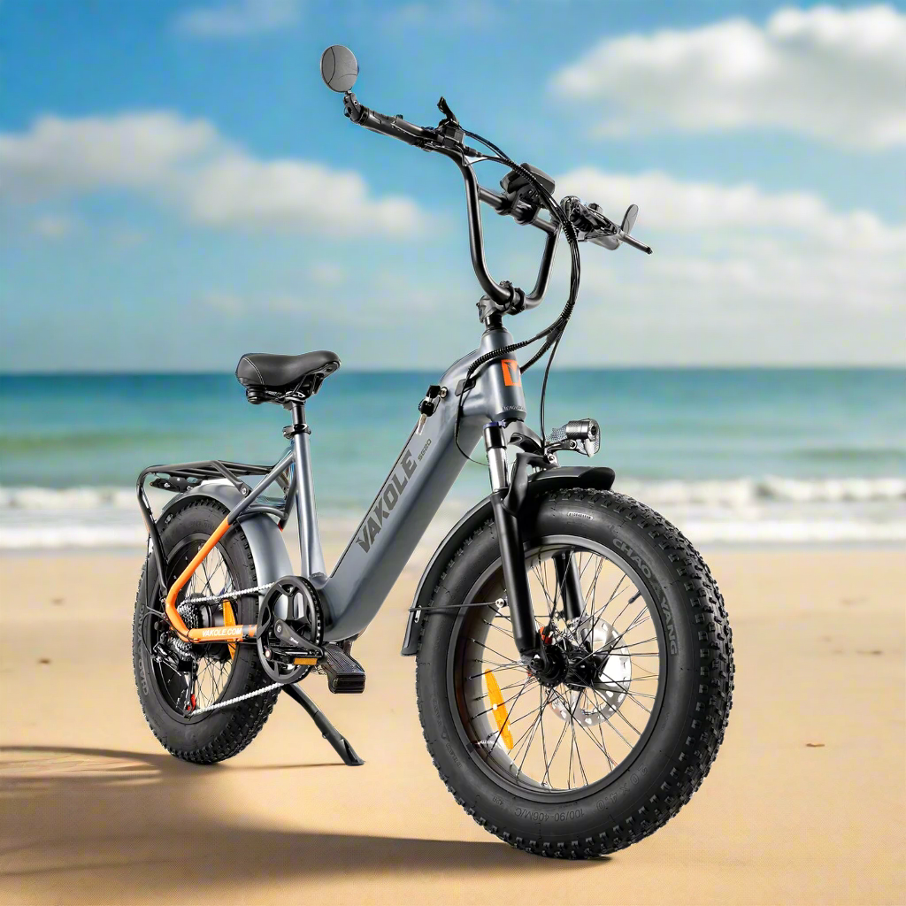 Vakole SG20 250W 20" Electric Fat Bike 691Wh Utlity E-bike 48V 14.4Ah Battery