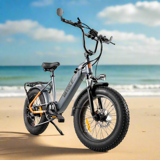 Vakole SG20 250W 20" Electric Fat Bike 691Wh Utlity E-bike 48V 14.4Ah Battery