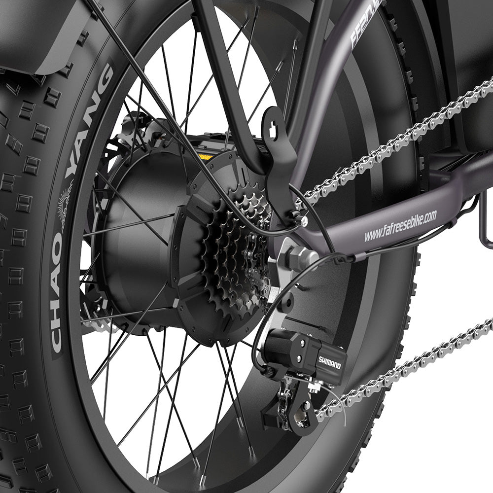 Fafrees FF20 Polar 20" Electric Fat Bike Dual Batteries L1e-B Certified Step-through E-bike