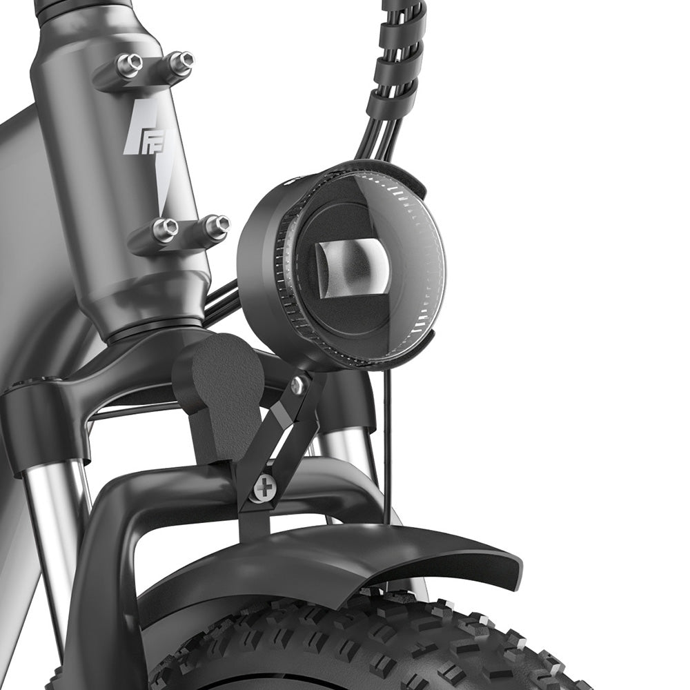 Fafrees FF20 Polar 20" Electric Fat Bike Dual Batteries L1e-B Certified Step-through E-bike
