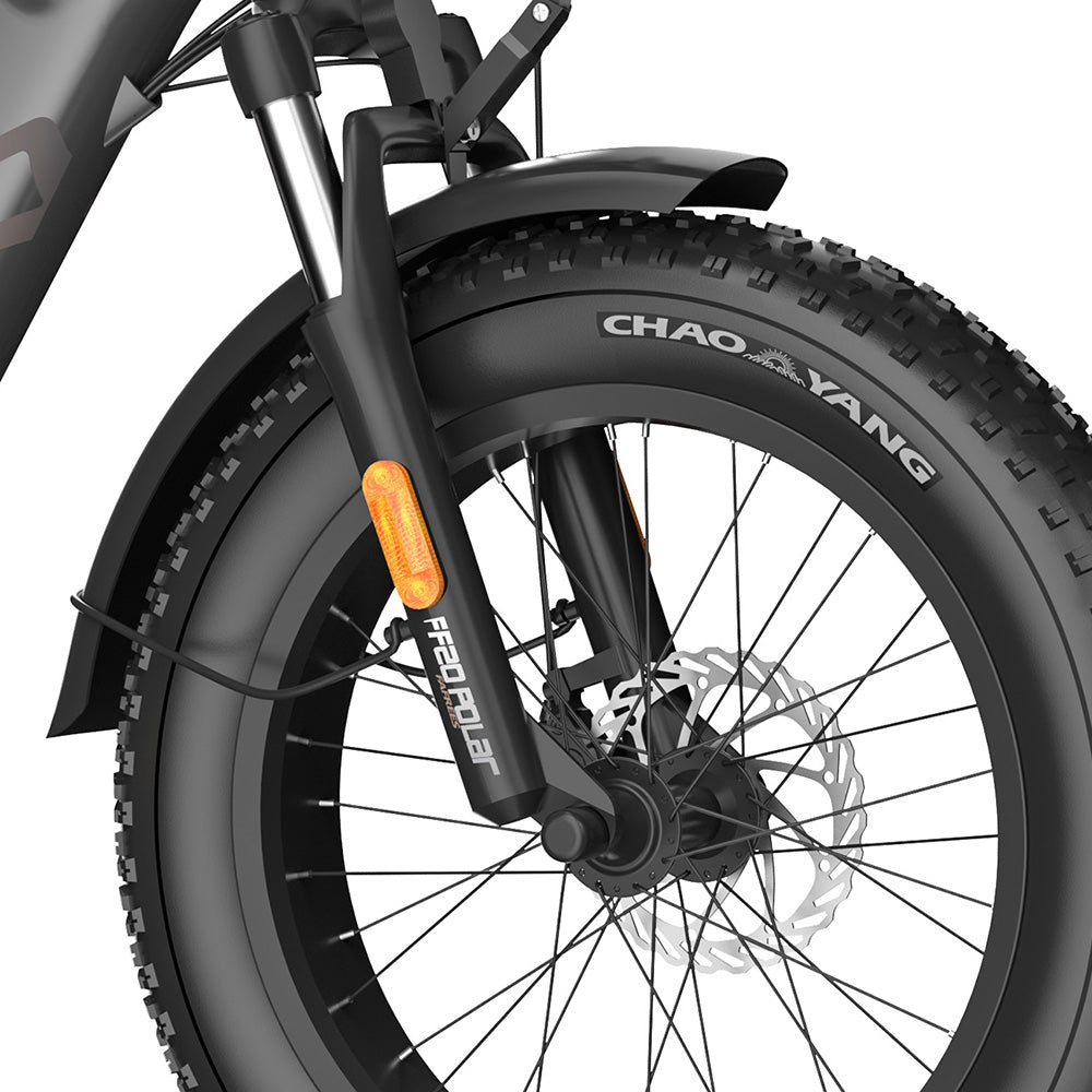 Fafrees FF20 Polar 20" Electric Fat Bike Dual Batteries L1e-B Certified Step-through E-bike