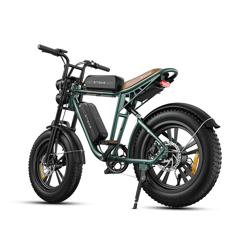 Engwe M20 750W 20" Fat Bike E Mountain Bike EMTB