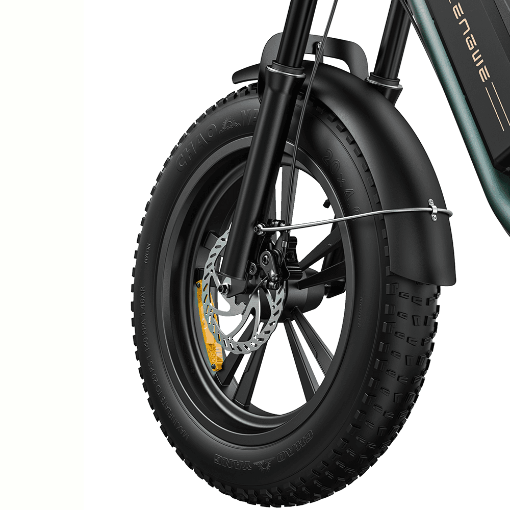 Engwe M20 750W 20" Fat Bike E Mountain Bike EMTB